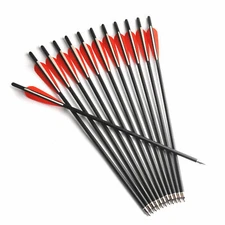 12Pcs 20" Fiberglass  8.8mm Arrow Archery Bow Replaceable Tips Hunting Shooting