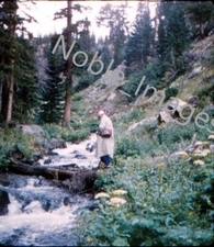 1950s Fisherman in Wooded Creek Red-Border Kodachrome Stereo Slide
