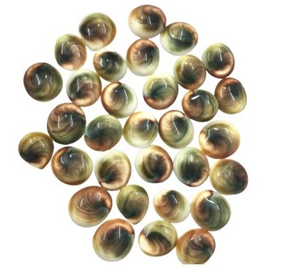 40Cts Natural Shiva Eye Shell Cab Gomti Chakra 3Pcs Lot Jewelry making Gemstone