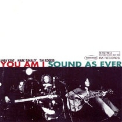 Sound As Ever by YOU AM I