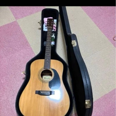 farida Acoustic Guitar James Case Included