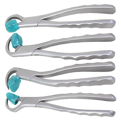 Pack of 4 Dental Atraumatic Extraction Forceps Teeth Extracting Pliers Dentist