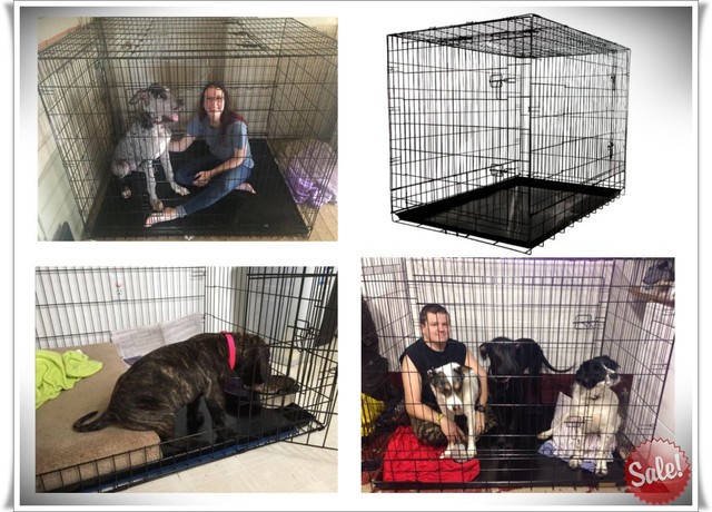 large folding dog crate