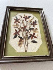Vintage Small Framed Pressed Flowers Leaves Wood Frame 6  x4  