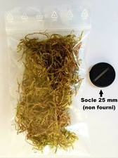 Mousse naturelle pour socles, décors et dioramas (Warhammer, WH40K et autres)
