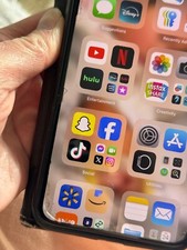 Apple iPhone 11 Pro Max with TIKTOK installed - 256 GB - Gray U.S. Cellular 