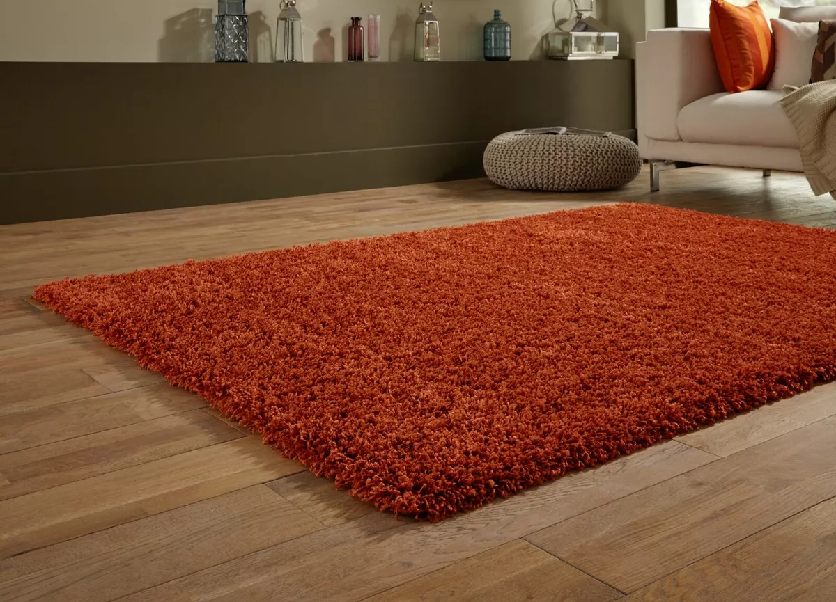 Ebay rugs deals