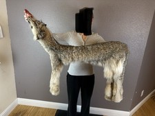 Wild Lynx Hide Pelt Fur Tanned #1 Select Decor Wild Case Skinned Skin Taxidermy