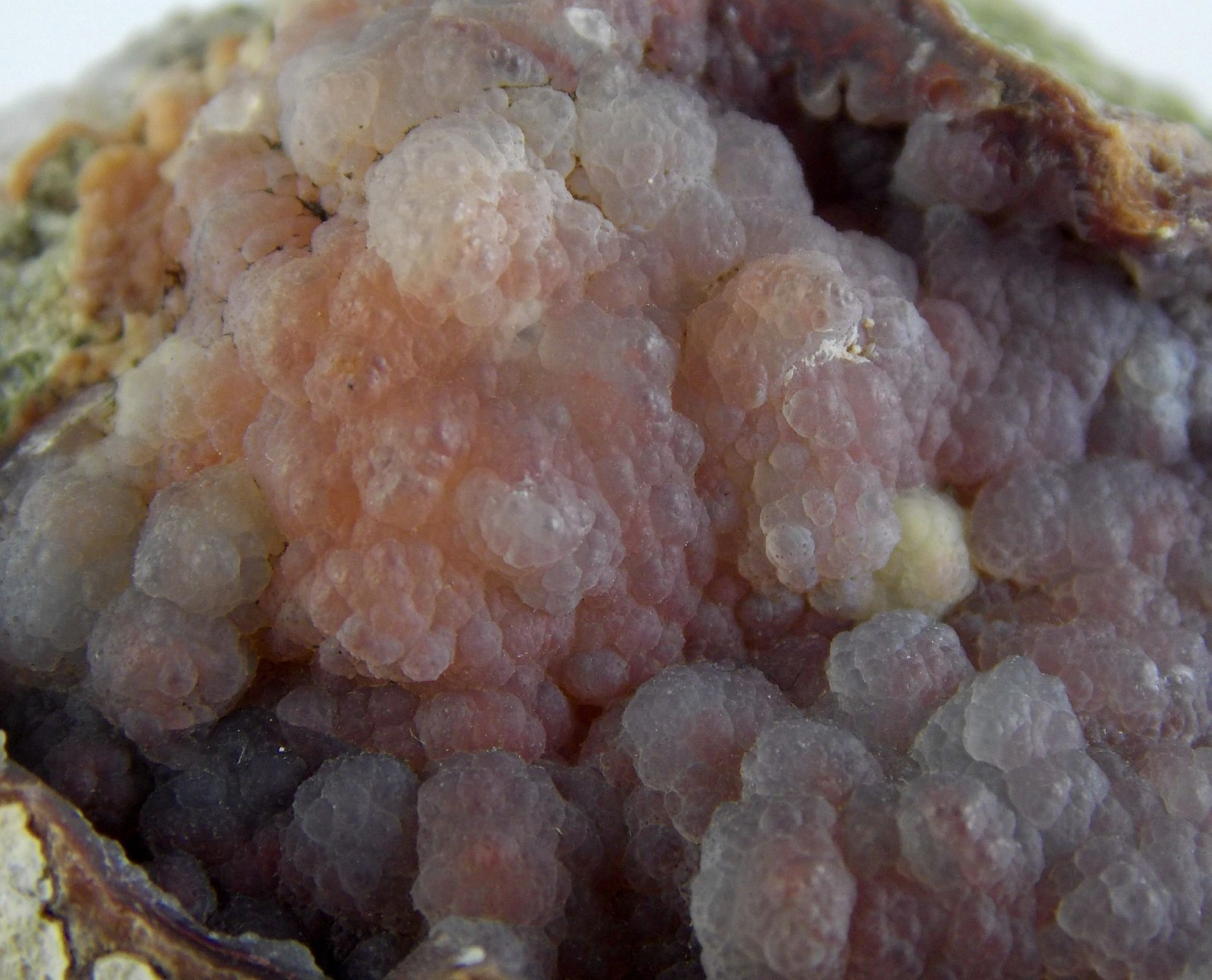 Picture 1