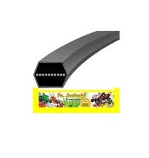 Keilriemen für Murray sentinel 125 IC/102 40300x50 Mähwerk 6-Kant / Neue