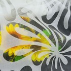 Bild 12 von 12