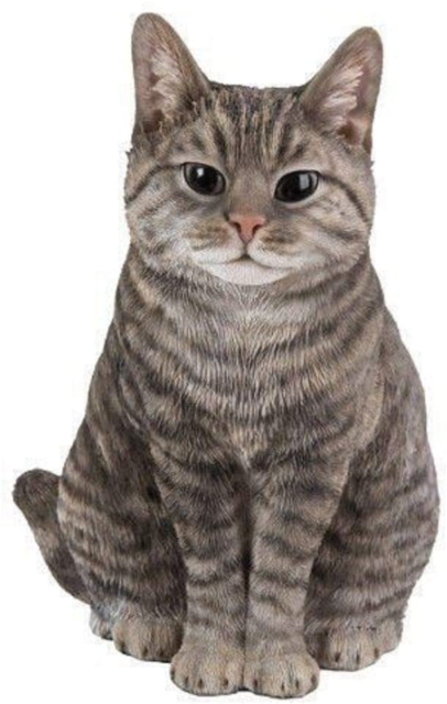 Stock photo