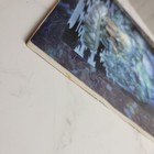 Bild 9 von 14