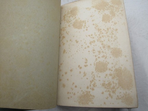 "LOOK ABOUT YOU" ~ 7 Flüge kombiniert ~ NATUR STUDIENBÜCHER ~ Thomas Hoare ~ NATURGESCHICHTE - Bild 5 von 10