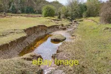 Photo 6x4 Stream running from Howen Bottom into Eyeworth Pond Fritham Loo c2008