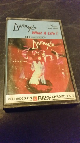 rare vintage cassette tapes divinyls what a life tested