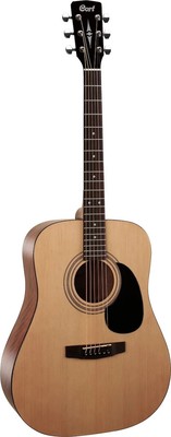 Standard AD810-OP Drednought Spruce Top Mah BandS Open Pore