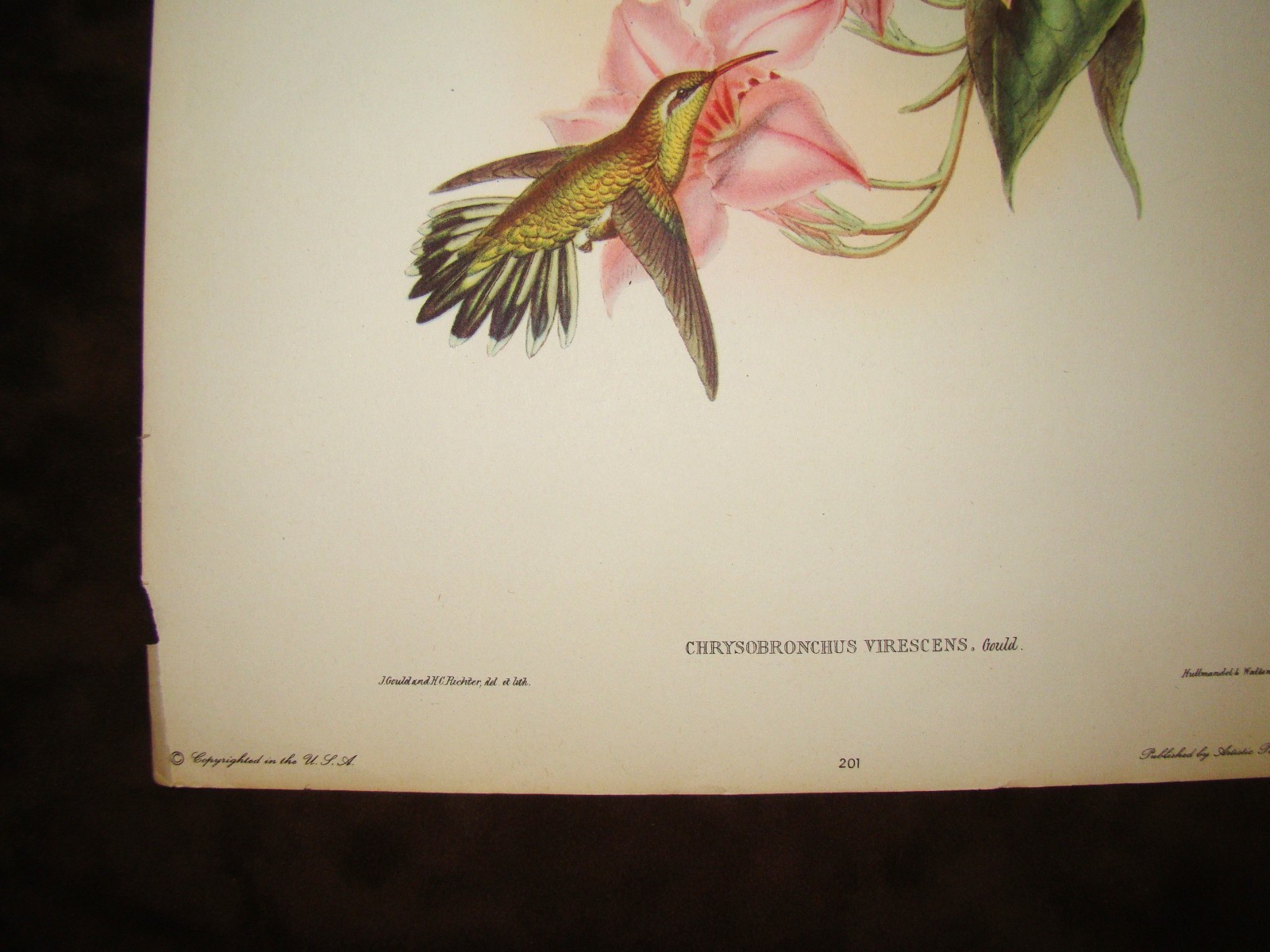 Picture 3 of 6
