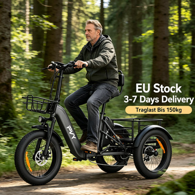 1000W 48V21AH Klapprad 3 Rad E-Bike mit Korb 20 Zoll Elektro Dreirad 3 Rad NEW