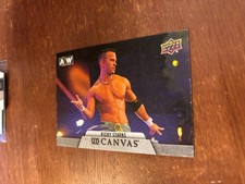 2021 Upper Deck AEW Canvas #19 Ricky Starks (Saints)