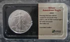 2001 Silver American Eagle (Brilliant Uncirculated) Littleton