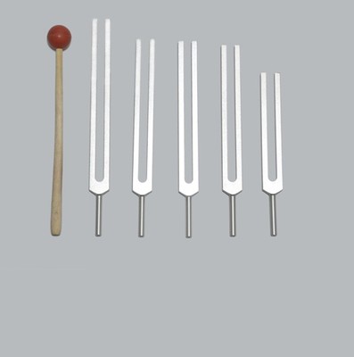 New 5 Pc Set Asteroid Tuning forks Tuners+Mallet+Pouch+Fast ship