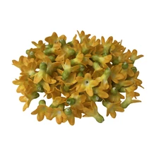 Pakalana Hand Painted Orange Green for Jewelry Making, DIY, Craft Supplies