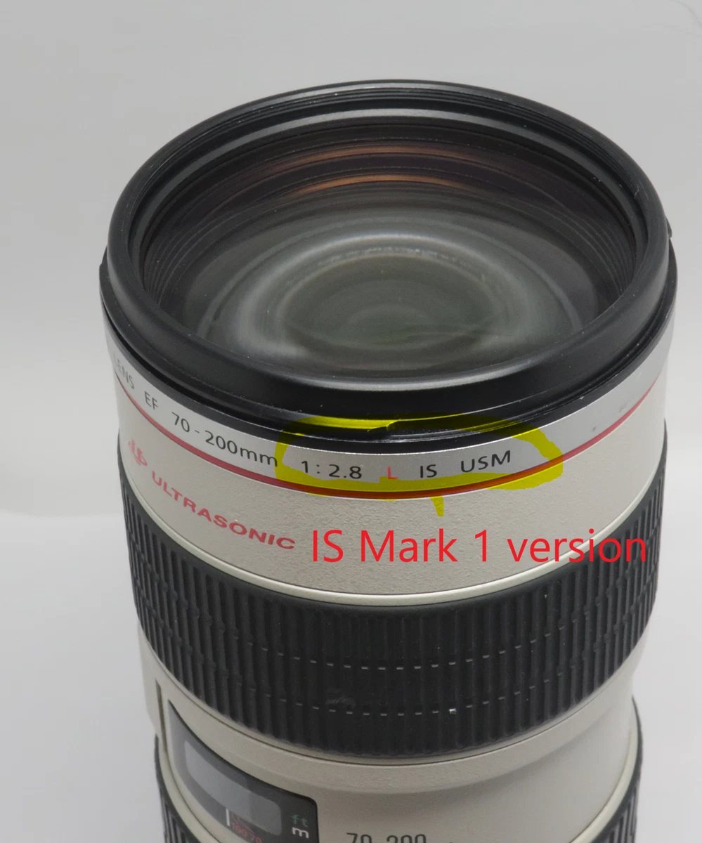 人気のクリスマスアイテムがいっぱい! パピコ CanonEOS6DMARK2&24