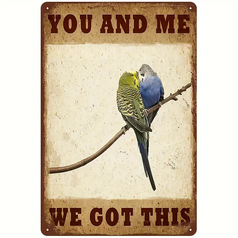 Novità: Vintage Effetto Pappagallo Alluminio Muro Insegna - " You & Me Noi Got
