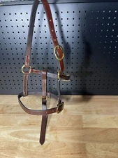 Leaders Foal Size Leather Halter!