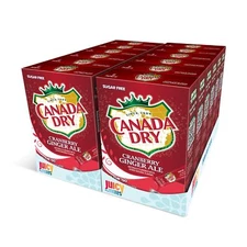 Canada Dry Flavored Drink Concentrate Sugar Free Pack of 6 Makes 72 Drinks