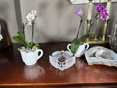 Vintage Lalique BOITE CORFU Sea Shell Clear Frosted Ashtray Vg++