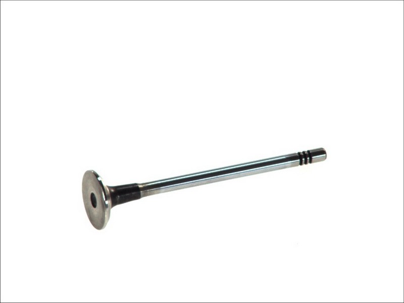 Fits FRECCIA 6397/SCR Intake Valve 6397/SCR Intake valve (25,6x5,5x96,4) fits: