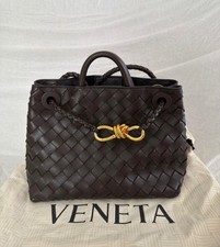 Bottega Veneta Andiamo Small Leather tote Bag 
