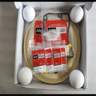 In Stock 637375-TM Diaphragm Pump Repair Kit use for PD15A-AAP-FTT Fast Shipping