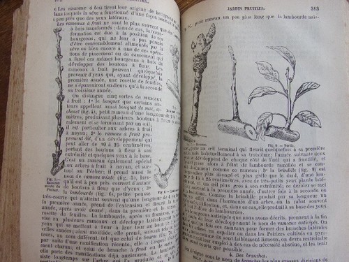 Agriculture. Le nouveau jardinier. 500 dessins 1877. 2/2vols - Picture 10 of 11