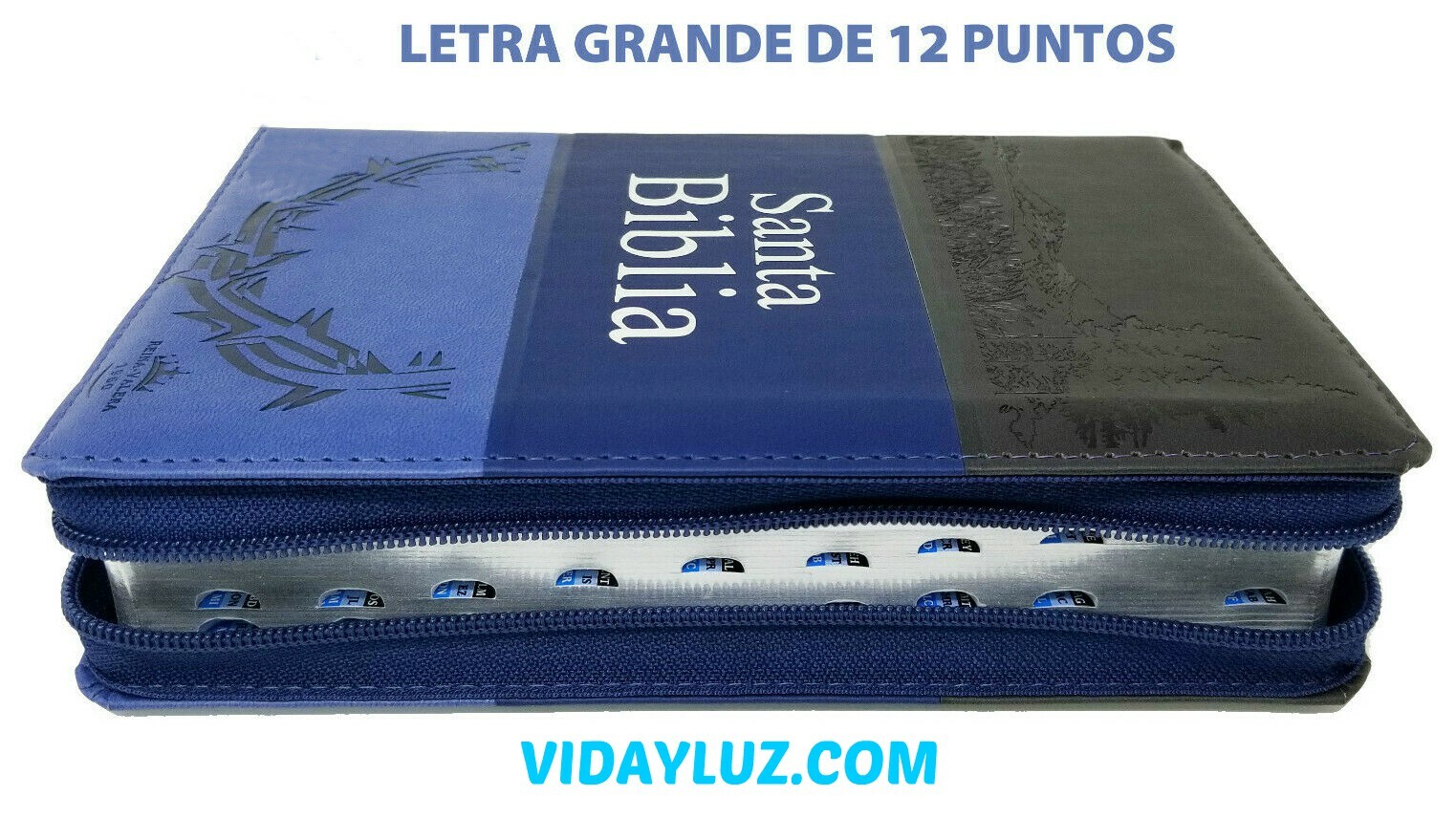 Imagen 2 de 6