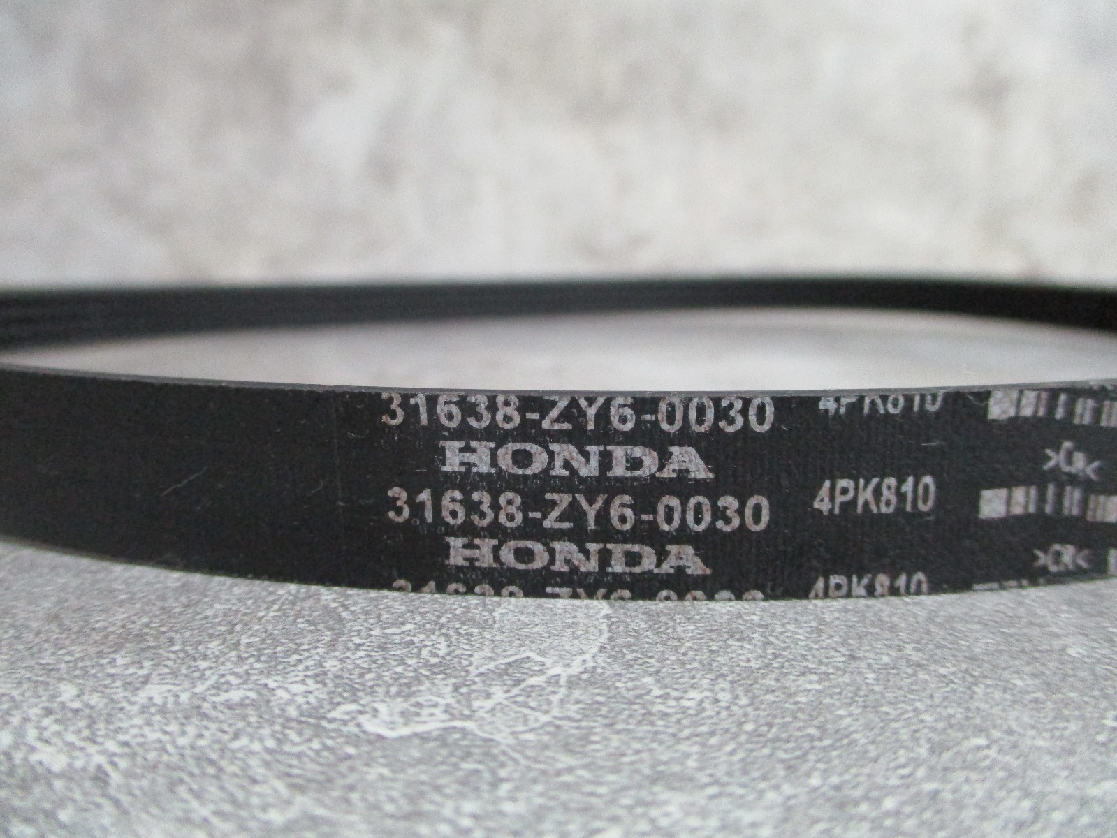 HONDA ALTERNATOR BELT 31638ZY6003 eBay