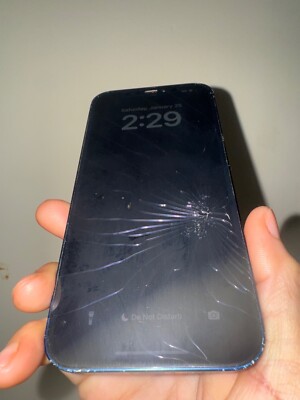 Apple iPhone 12 With TIKTOK APP INSTALLED- 64 GB - Blue (Unlocked)