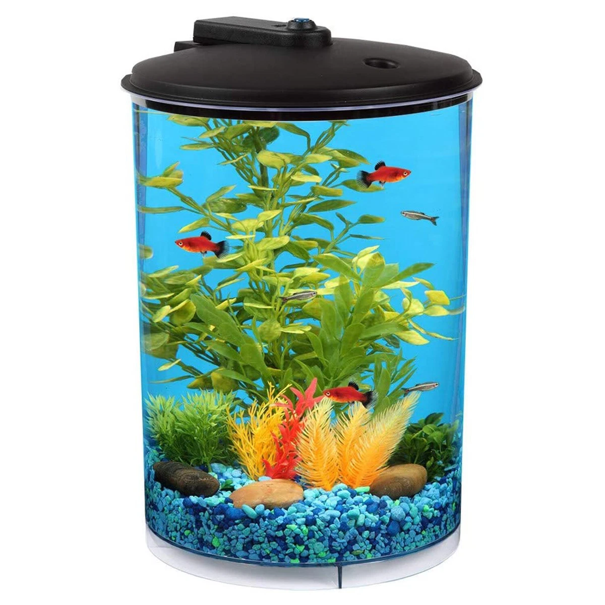 Koller Products 3 Gallon Tropical 360 View Nano Fish Tank w/ Power Filter &  LED