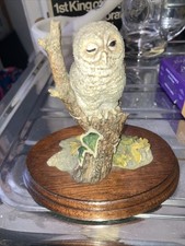 Border Fine Arts, One Owlet RB25