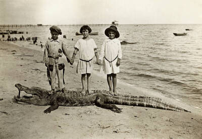 Three Happy Youngsters Who Are Gloating Over Their Capture Of A 13 F - Old Photo