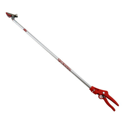 Delivery to Okinawa and remote islands not available 140 *Order upo