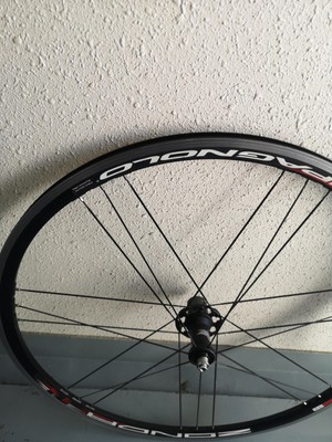 campagnolo zonda c15 clincher alloy wheelset shimano 11s free | eBay