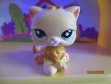 Petshop Chat Persan #2063