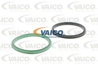 Vaico V10-50066 Wasserpumpe FüR Audi