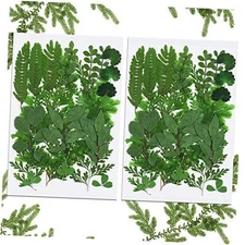 42 Pieces Dried Pressed Leaves for Resin Real Assorted Dried Greenery for 