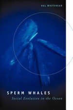 Sperm Whales: Social Evolution in the Ocean by Whitehead, Hal [Paperback]