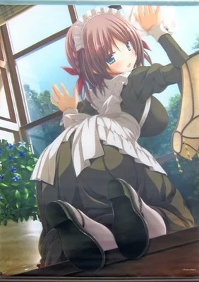 Purple Software Akari Unno B2 Tapestry Aoi Tori Purple Software Exhibition Encor