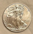 2013 Walking Liberty American Eagle 1 oz .999 Fine Silver $1 Dollar USA